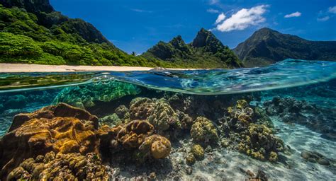 A Guide to Sustainable Snorkeling at Magic Reef in Rarotonga